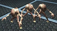 Monkey magic