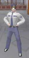 Security Guard