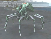 Rogue Tarantula