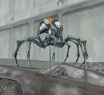 Tarantula Queen