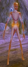 Wisp Overlord
