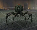Tarantula