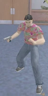 Undercover Cop