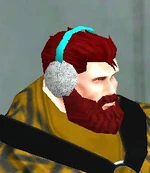 Ear Muffs