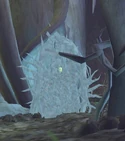 The Thorn Tree