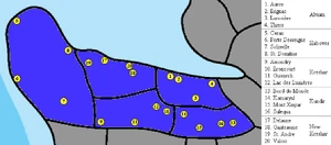 Lourenne's Largest Twenty Cities