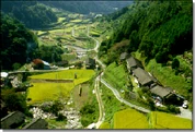 Echo Valley, Central Akinawa Province