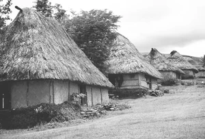 A traditional village in Deltaria