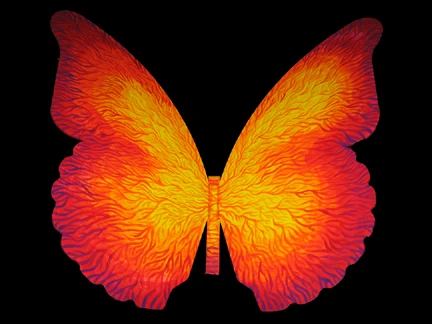 Lynnsfly.jpg