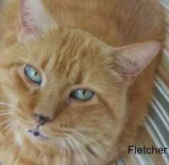 Fletcher