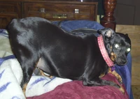 Meka-June 2006