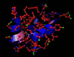 Human Insulin Molecule has empirical composition C254H377N65O75S6