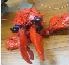 Image:Crab_sprite.jpg