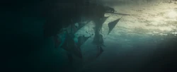 The Black Pearl in Davy Jones' Locker.