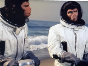 Cornelius and Zira arrive