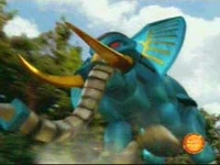 GaoElephant