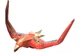 Firebird