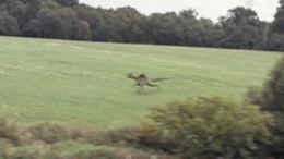 Episode3.7-creatures-2