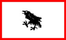 Bandeira da Corvínia