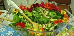Name of the Recipe