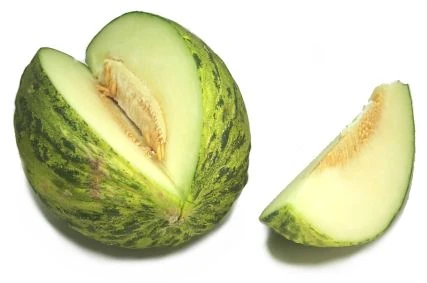 Santa Claus Melon