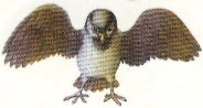 Image:Warbeak.jpg