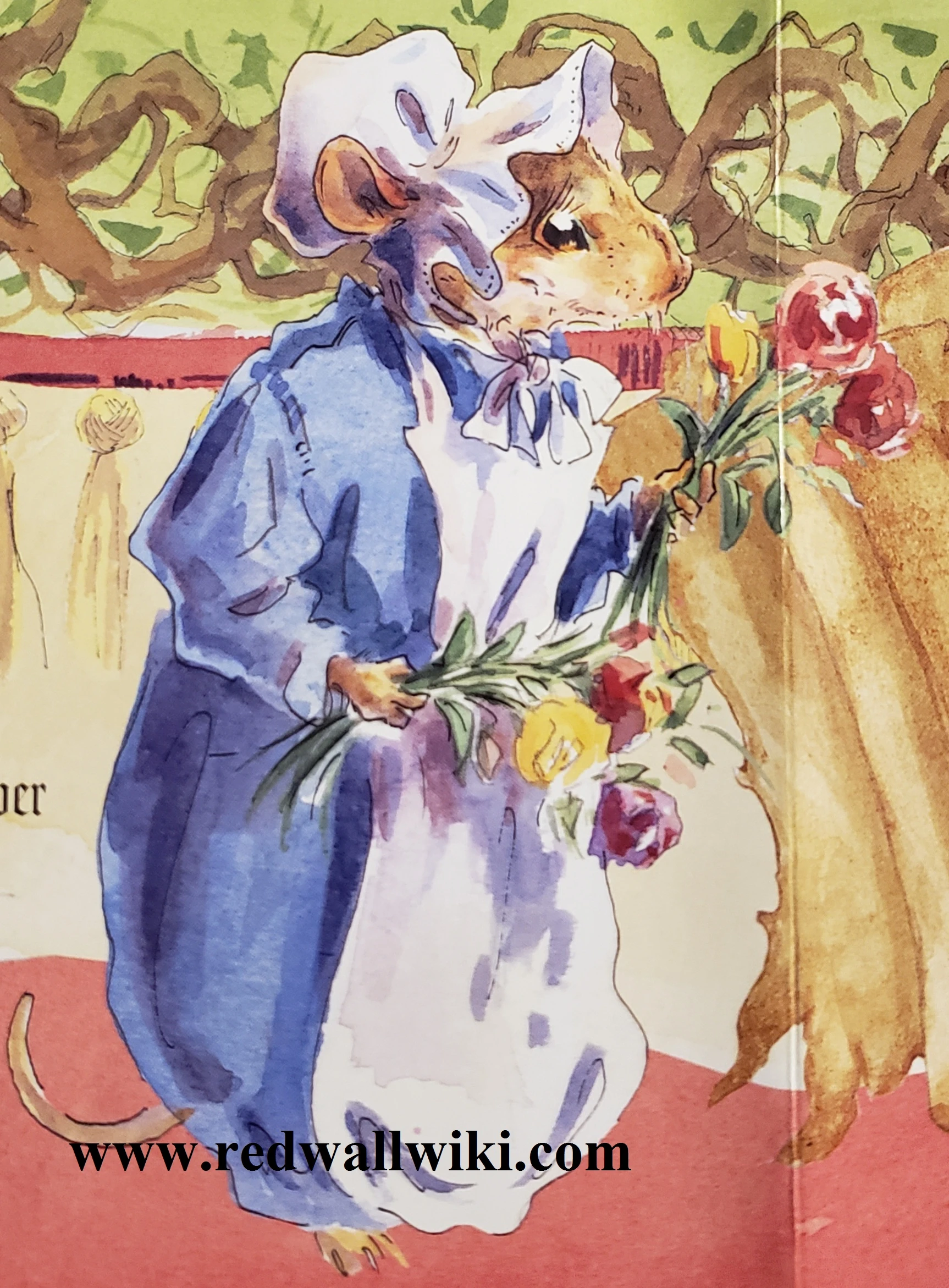 Image:Cornflower.jpg