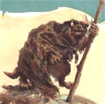 Image:fol.jpg