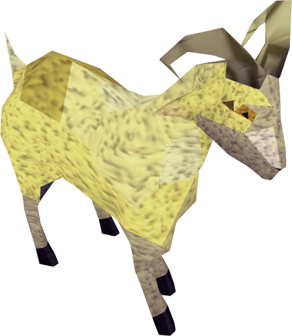 Desert goat