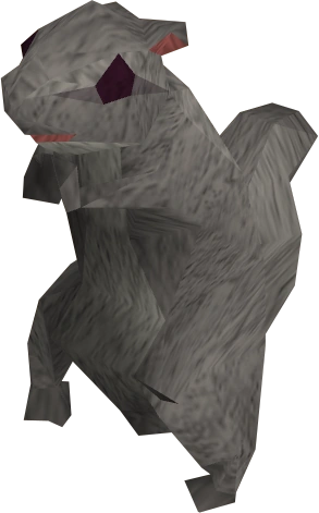 Squirrel