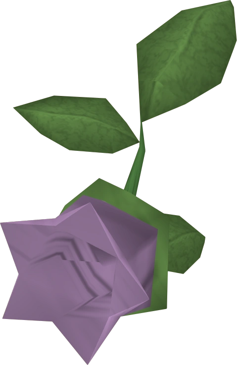 Cave nightshade