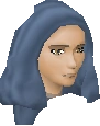 Bryanna's head in the chat interface‎