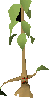 A teak tree ent.