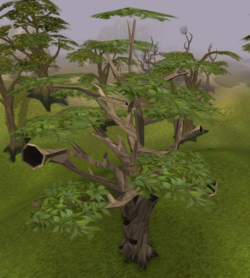 Swaying tree