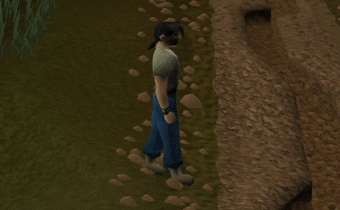 http://images2.wikia.nocookie.net/runescape/images/a/a3/Crossing_the_ditch.gif