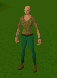A player playing with Eek.