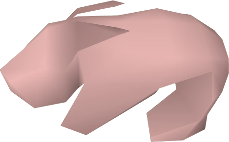 A detailed view of a raw rabbit