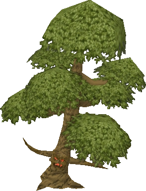 A yew tree ent.