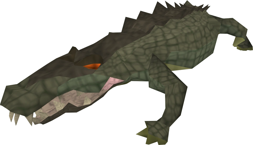 Crocodile (before)