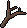 Branch