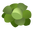 Symbol of Brassica Prime
