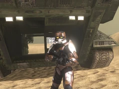 C.T.