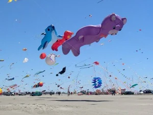 Dragefestival Fanø in june