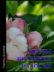 Книга Погребного-Александрова «Цветы весенней радости».