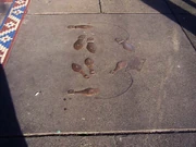 Dance Steps