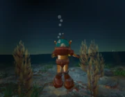 Magellan Linden diving in Heterocera