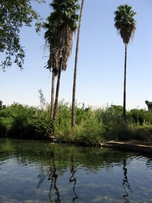 עין נון.  שביל ישראל ליד הכנרת.