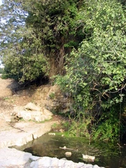 המעיין התחתון בעיינות נריה
