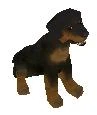 File:Leroy.jpg