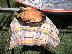 Poulet bien cuit sorti du four
